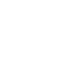 icon-light